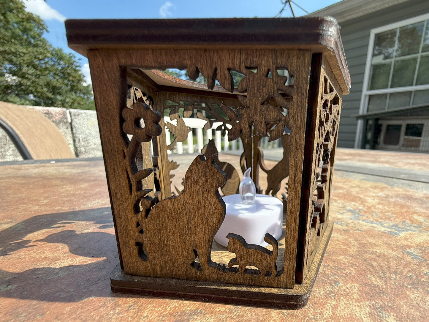 Cat Lantern