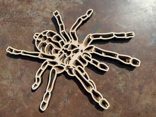 Mandala Tarantula